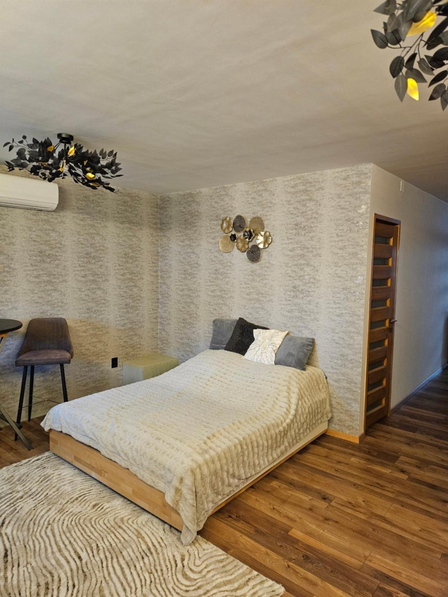 Toelgyes Apartmanhaz 세게드 외부 사진